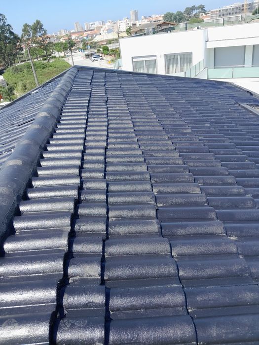 Parvila Remodelar