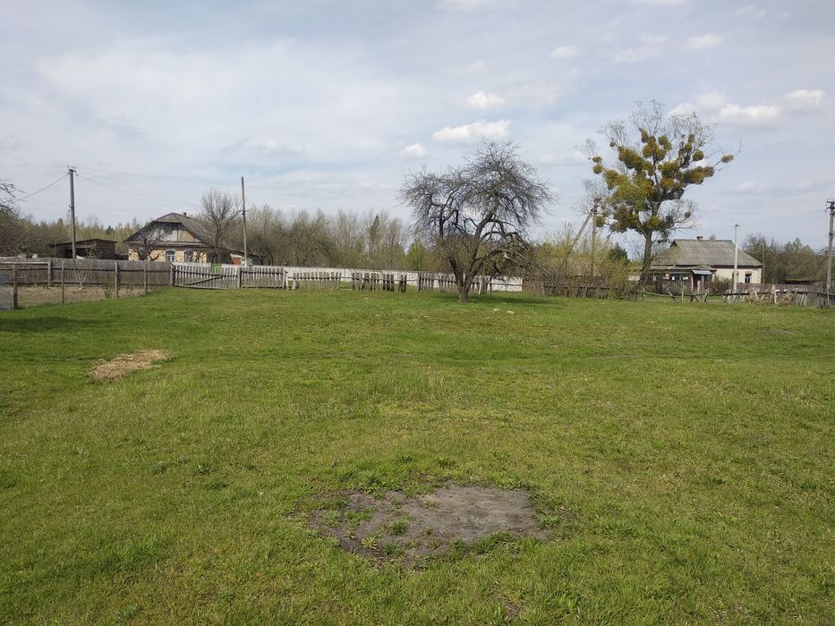 Продажа земельного участка в с.Андреевка (Вышгородский район)