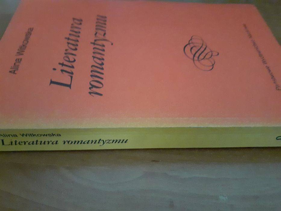 Alina Witkowska.  Literatura romantyzmu.