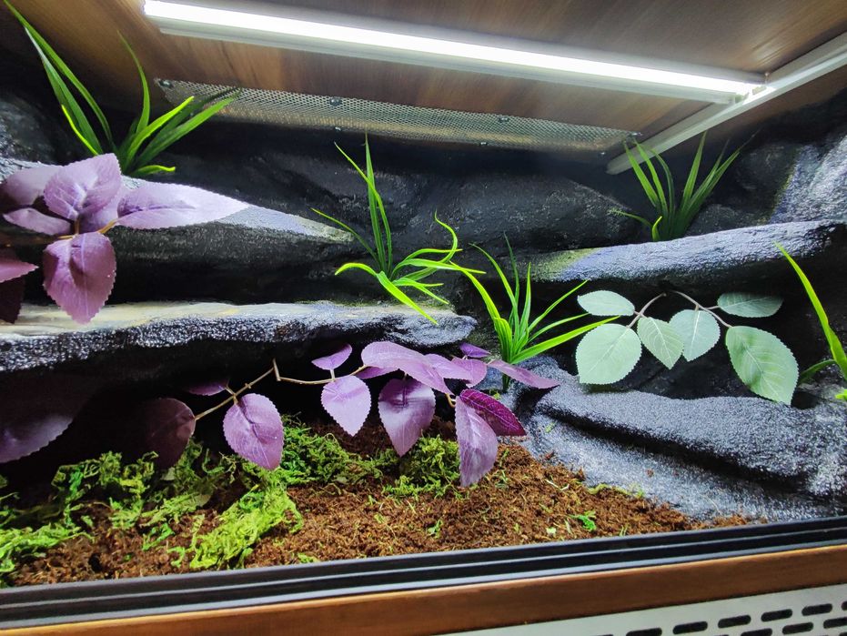 Terrarium tropikalne nr699 80/40/40 dla węża boa pyton NA ZAMÓWIENIE