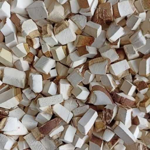Białoporek brzozowy 100g z Bieszczad
