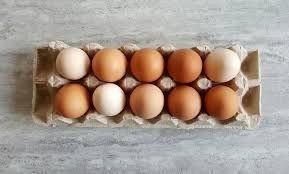 jaja , jajka od kury nioski