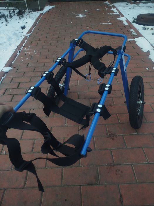 Инвалидная коляска для овчарки инвалидная коляска для собак