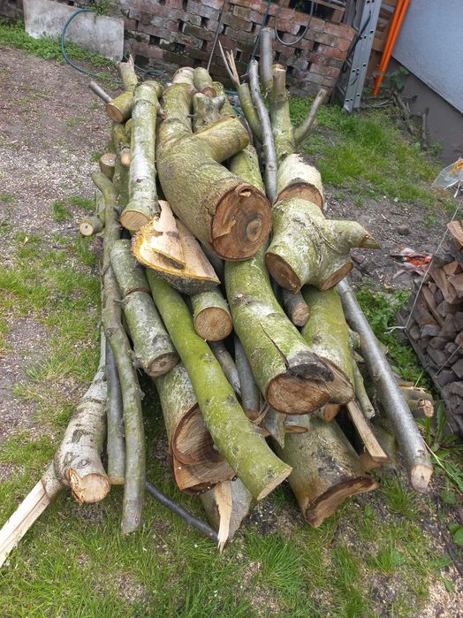 drewno z orzecha włoskiego ,orzechowe 2 m3 grube