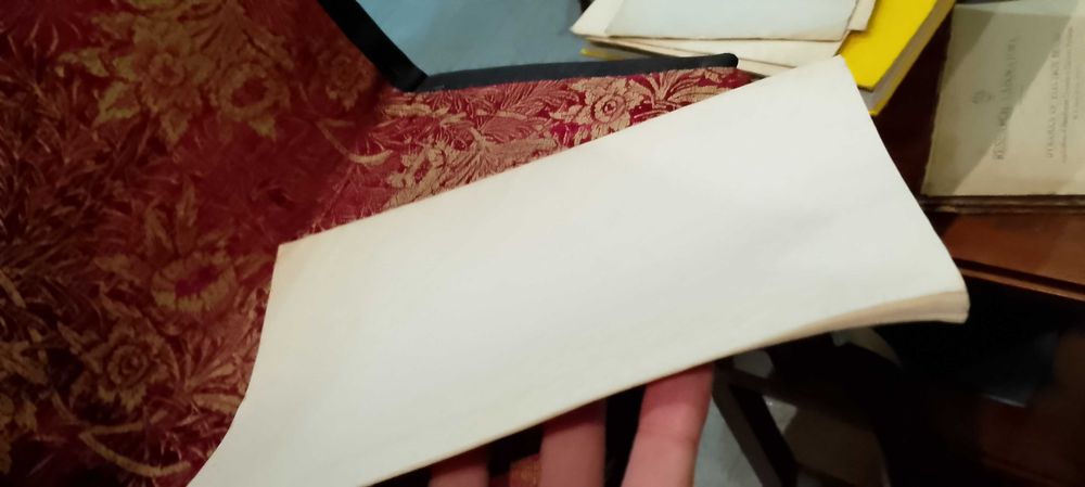 Reflexões a Propósito de um Centenário 1954 Ruy F. Mayer