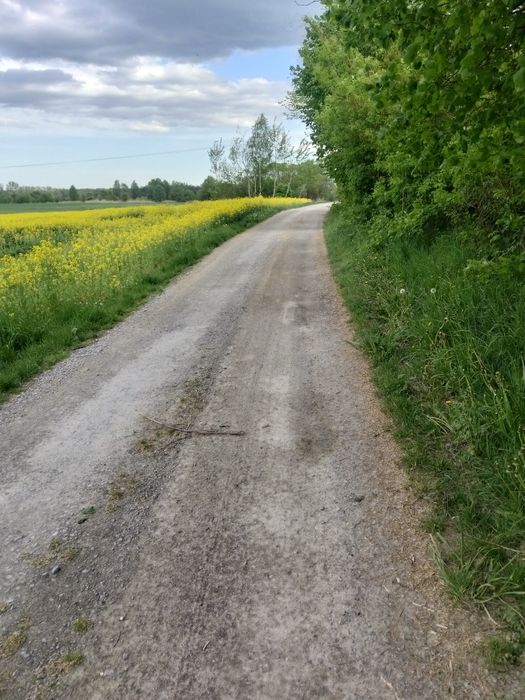 Piękna działka w Partynii 47 arów - View 2