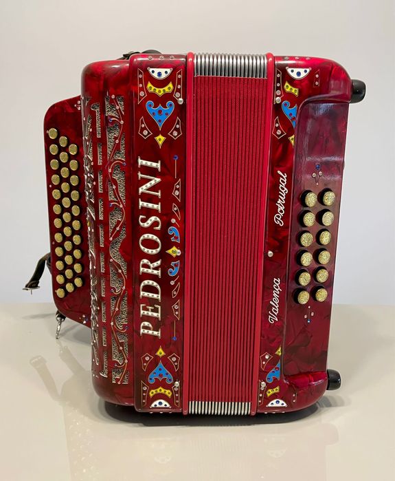 Concertina Pedrosini Coronado (São Romão E São Mamede) • OLX Portugal