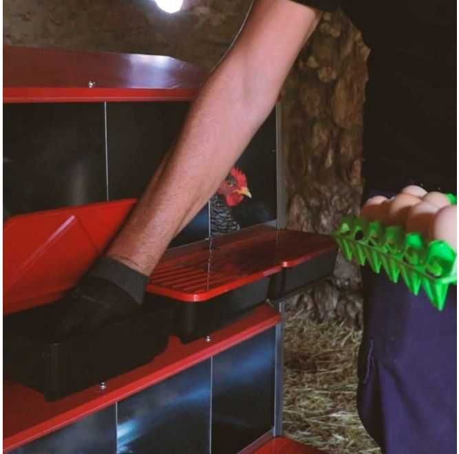 Gniazdo/Gniazda dla kur automatyczne poczwórne z pojemnikiem na jajka