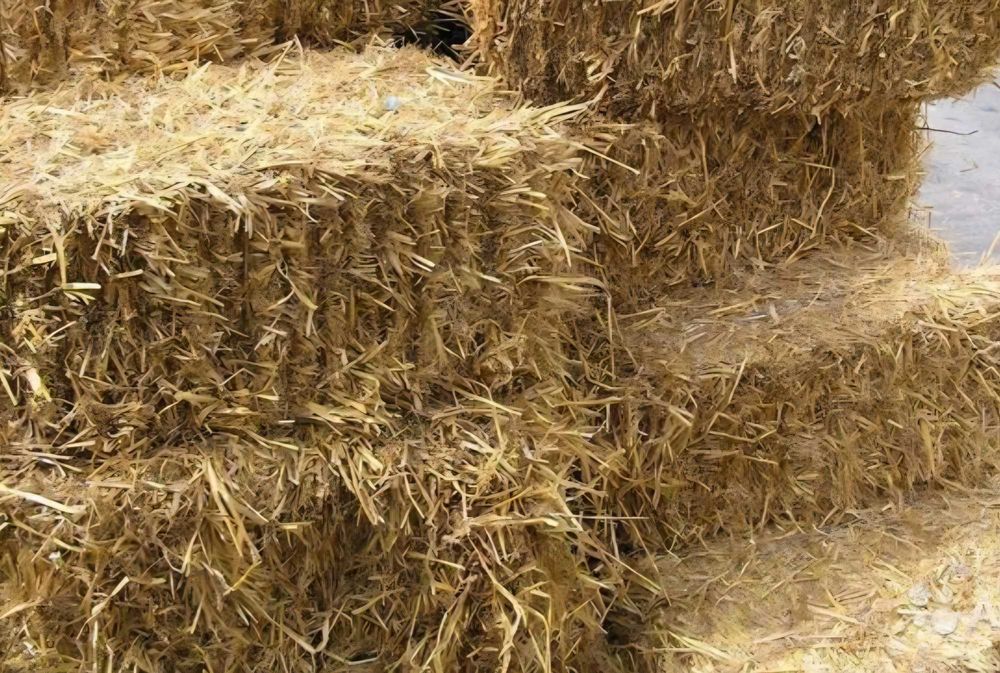 Продаж солома ячмінна