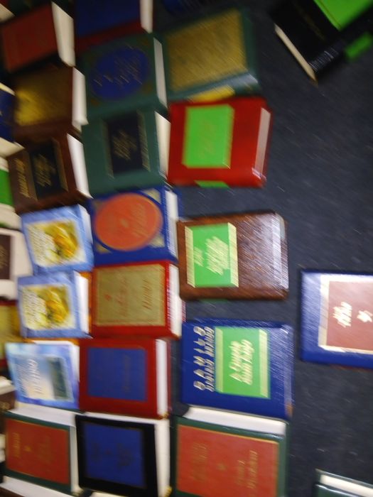 Ibiloteca com 50 livro minitura e movel