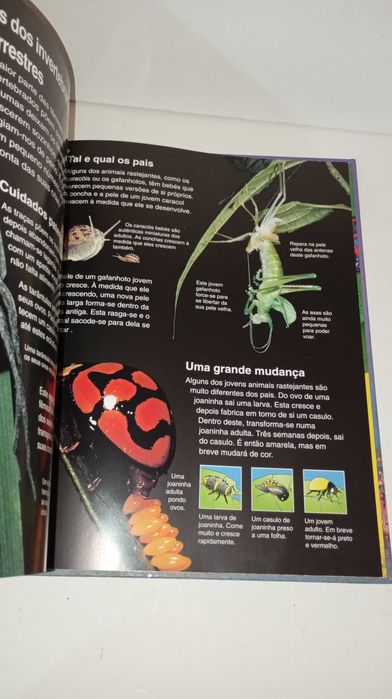 A Minha Primeira Enciclopédia de Animais