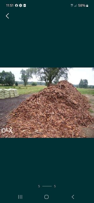 Kora sosnowa ozdobna workowana najtaniej