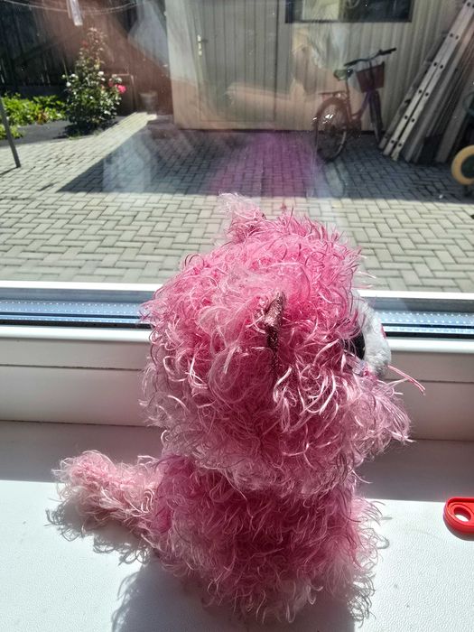 м'яка іграшка TY Beanie Boos Рожеве кошеня Reagan за 250 грн