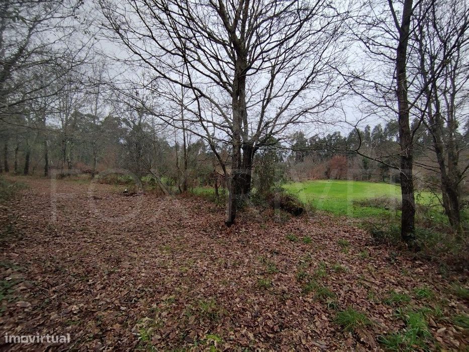 Terreno - Ganfei, Valença
