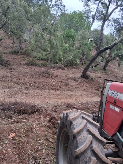 Limpezas de terrenos