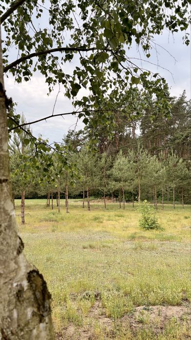 Unikalna działka budowlana 1091 m² pod Łodzią przy lesie - Widok 4
