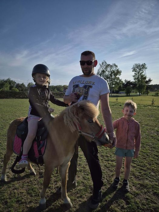 Kucyki  szetlandzkie