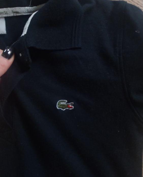 Polo lacoste rozmiar xs