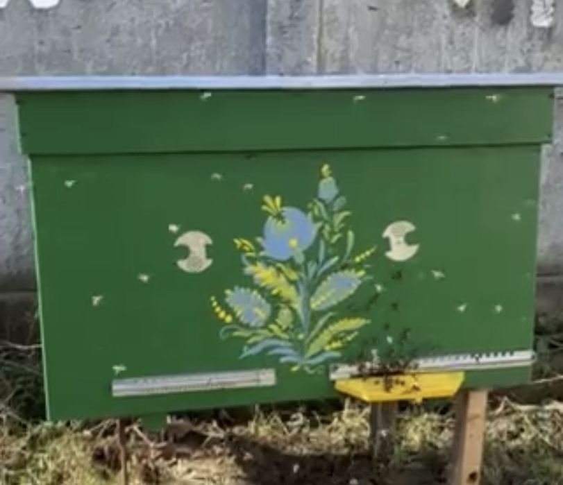 Продам Бджолопакети