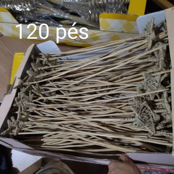 Folhagem/galhos secos preservados