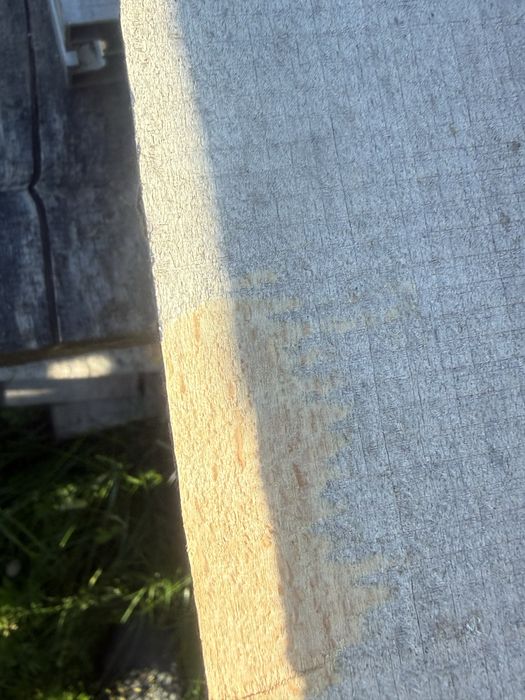 Deska/tarcica  buk