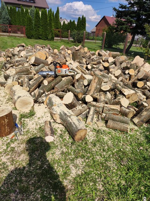 Wycinka drzew,cięcie drewna opałowego, koszenie trawy