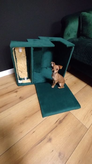 Schodki dla psa, buda tapicerowana DIY