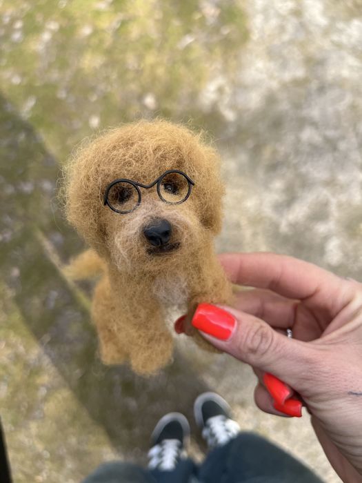 Той пудель , Лабрадудль ! Пудель ! Собака сувенир ! Валяние из шерсти