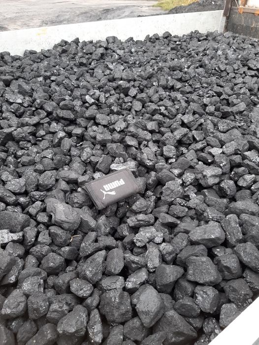 Węgiel orzech Polski