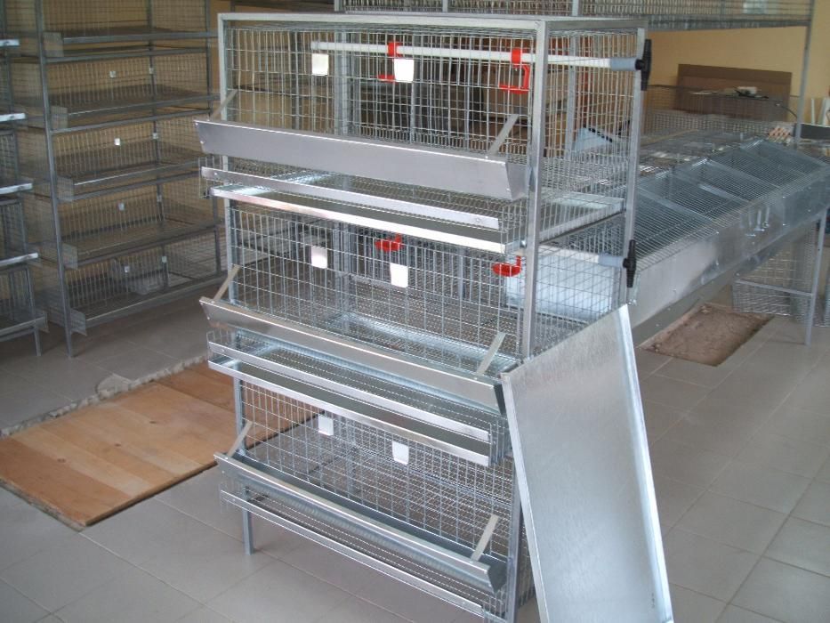 Клетка для кур-несушек