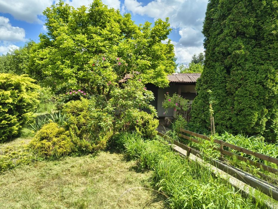Działka ROD 705 m² Narutowicza - Więcej