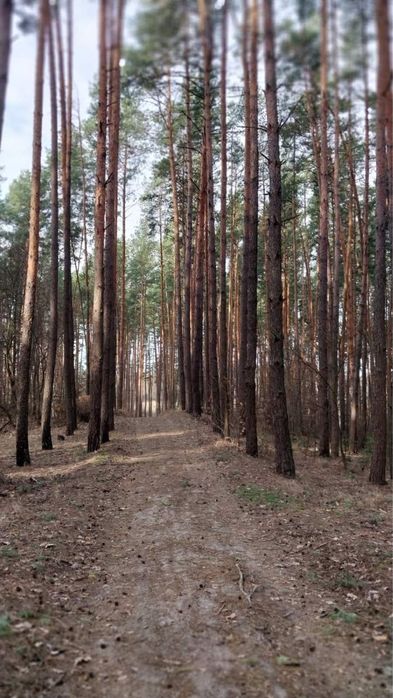 Продаж будинку з автономним опаленням  с.Лишня  36 соток