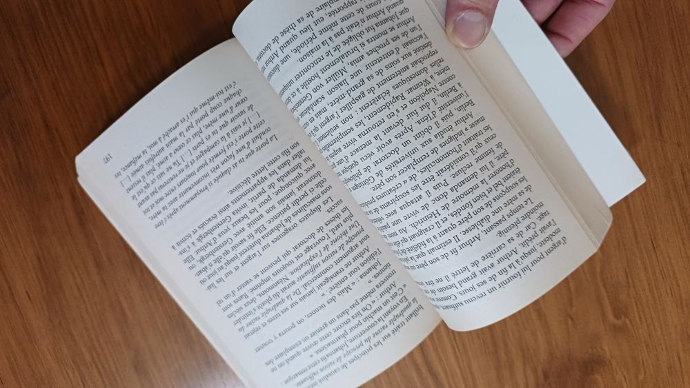 La Méthode Schopenhauer (Fr) - Irvin Yalom