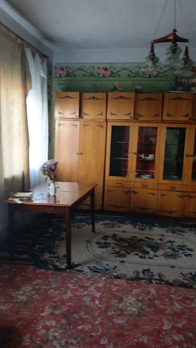 Продам будинок в с. Перельоти