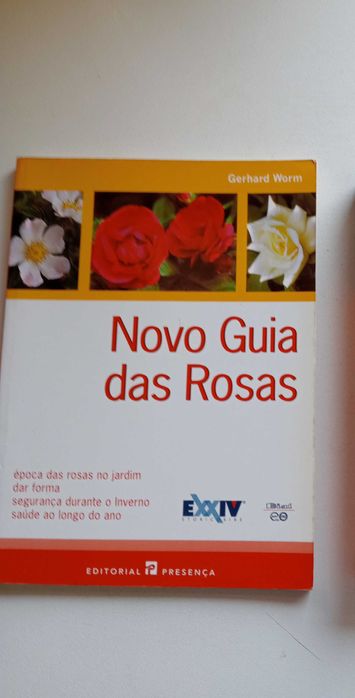 Livros romances e auto ajuda