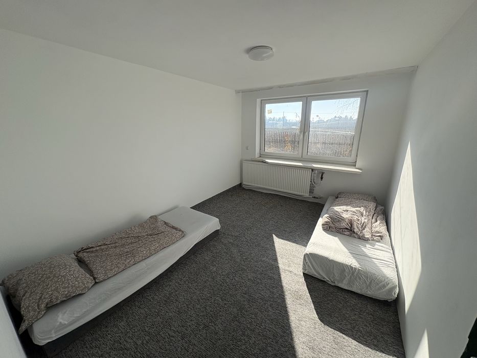 dom hostel całość na wynajem