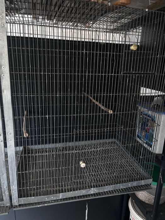 Voadeira para Aves