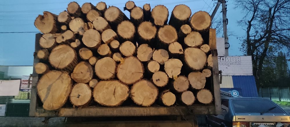 дрова твердих порід