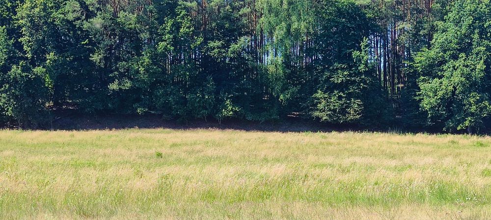 10 ha w malowniczej dolinie
