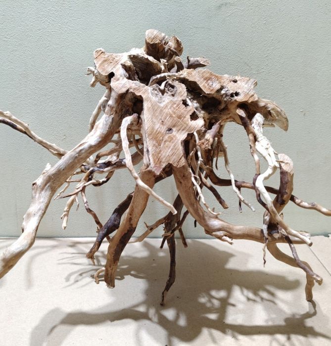 Korzeń Red Moor do akwarium