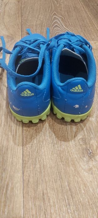 Сороконіжки 33 р