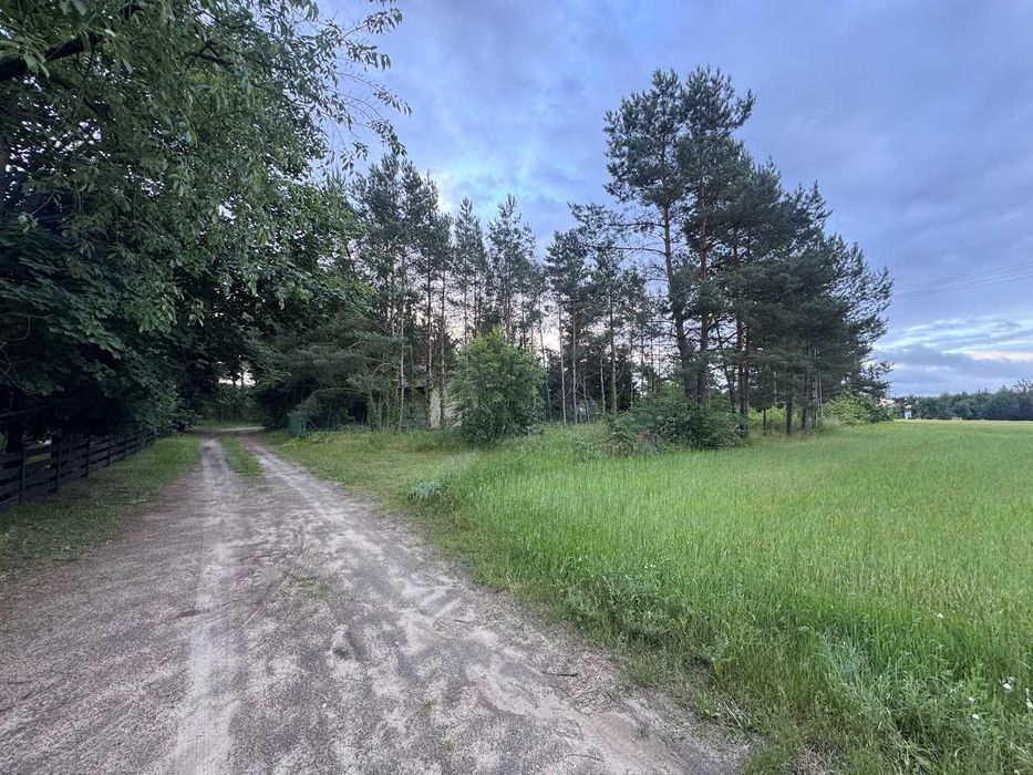 Ławiczno Dwór i Las - Debówiec działka budowlana - View 2