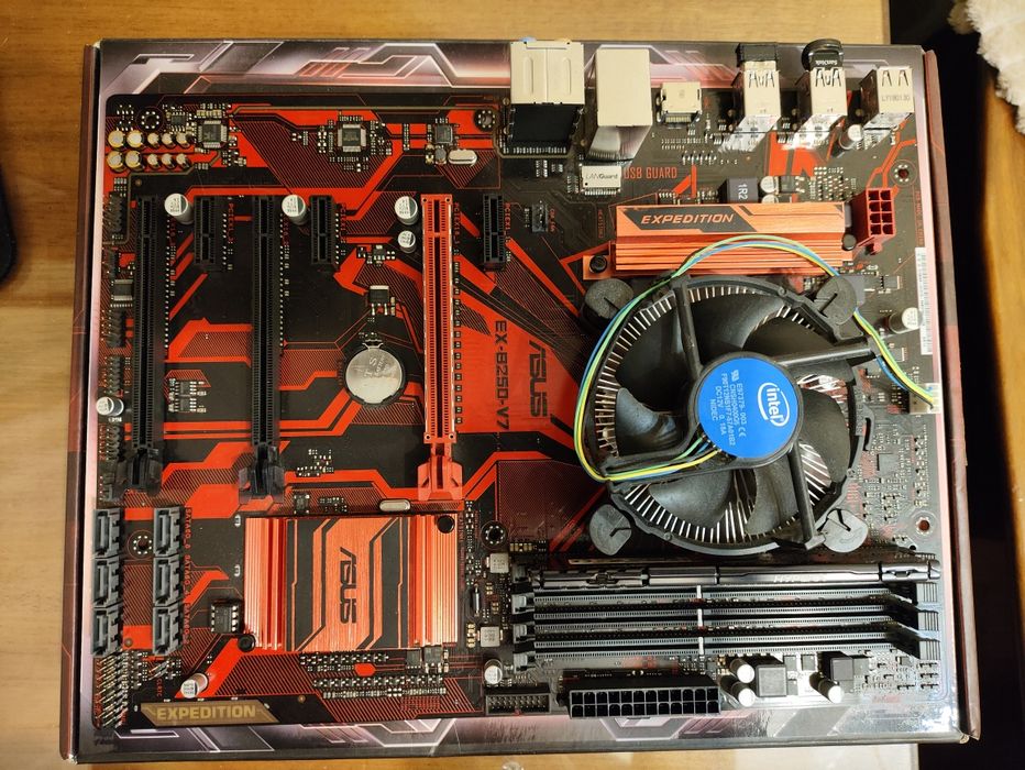 Материнська плата Asus EX-B250-V7