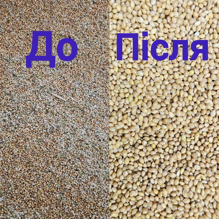 Послуги очищення зерна