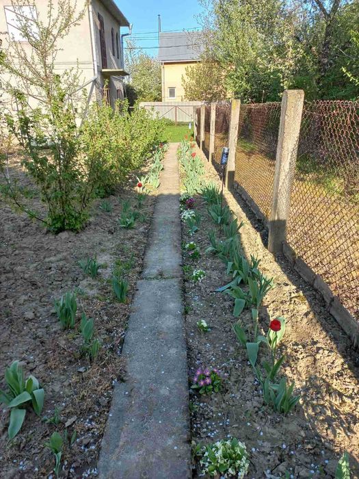 Дом по адресу ул. Капеланська (площадь 99,3 м²) - Atlanta.ua - фото 7