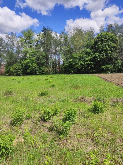 земельна ділянка