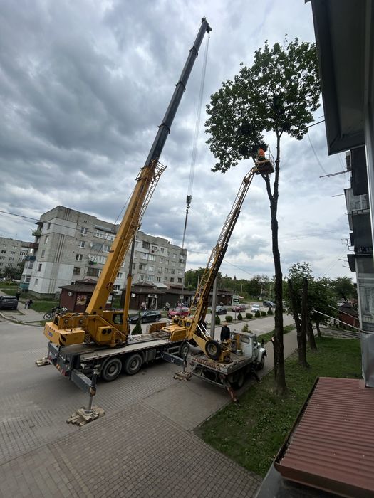 Зрізання дерев , послуги автовишки Львів