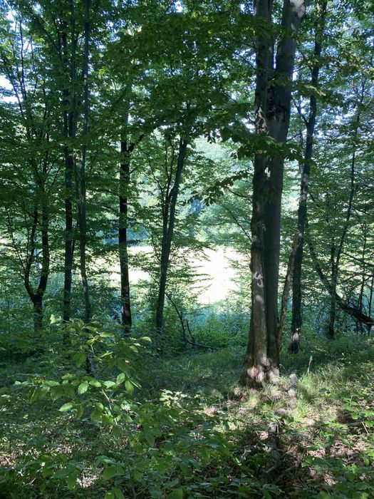 Власник.Продам.Обмін зем ділянку з кад.номер. 7км від Косова.1.га