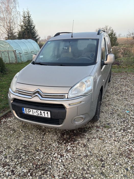 Citroen Berlingo 2010