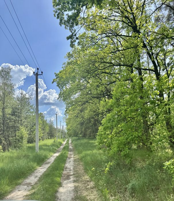 Земля у лісі під забудову Дзвінкове 3,25 га!